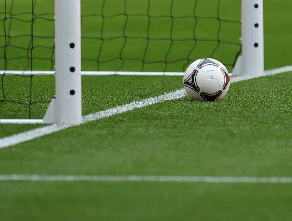 In this photo, a soccer ball is next to a goal.