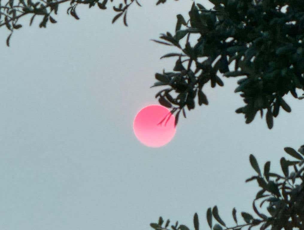 A photo of the sun in Las Vegas. The sun is bright red due to California Wildfires and the smoke particles.