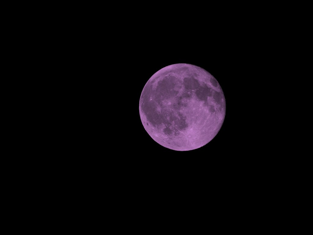 Photo of a Paschal Full Moon in a pitch black night sky. It is a purplish pink hue. The Paschal Full Moon is the last full moon before Easter Sunday.