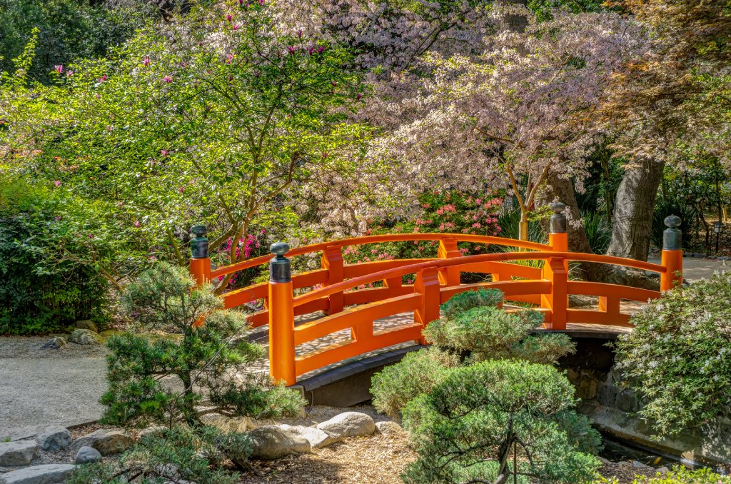 A small, orange wooden bridge arcs over a stream surrounded by Asian trees in a Japanese garden.