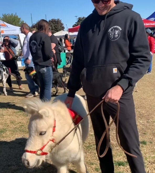 And a Shetland Pony Came To Paws, Making It A true Las Vegas Pet Event